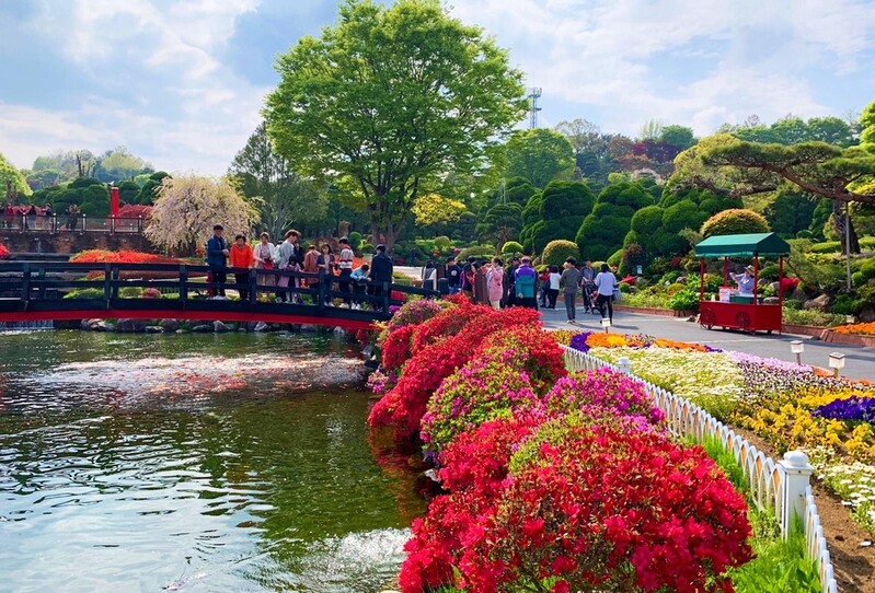 세종 베어트리파크 철쭉제 22일 개막…3년 만에 재개
