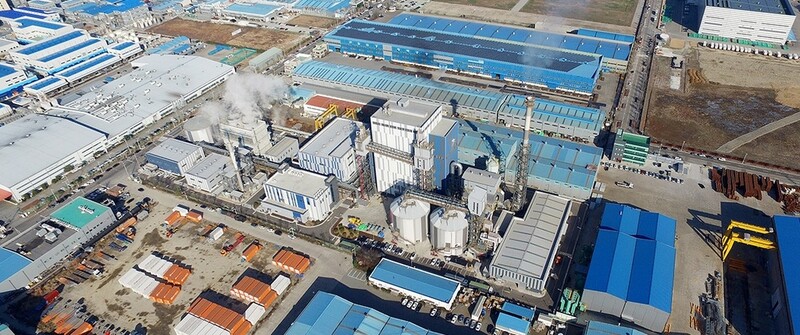 LX International buys biomass power plant operator in renewable energy push