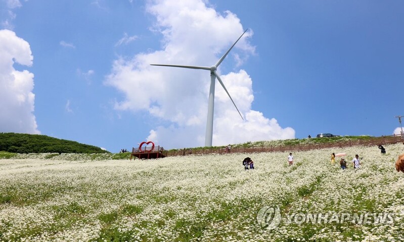 평창군 '청옥산 은하수 관광단지' 지방소멸대응기금 사업 선정