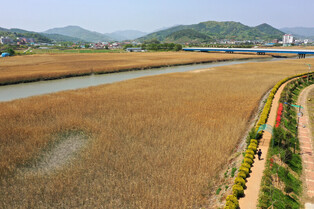 [K-Geography] Mudflat in Boseong