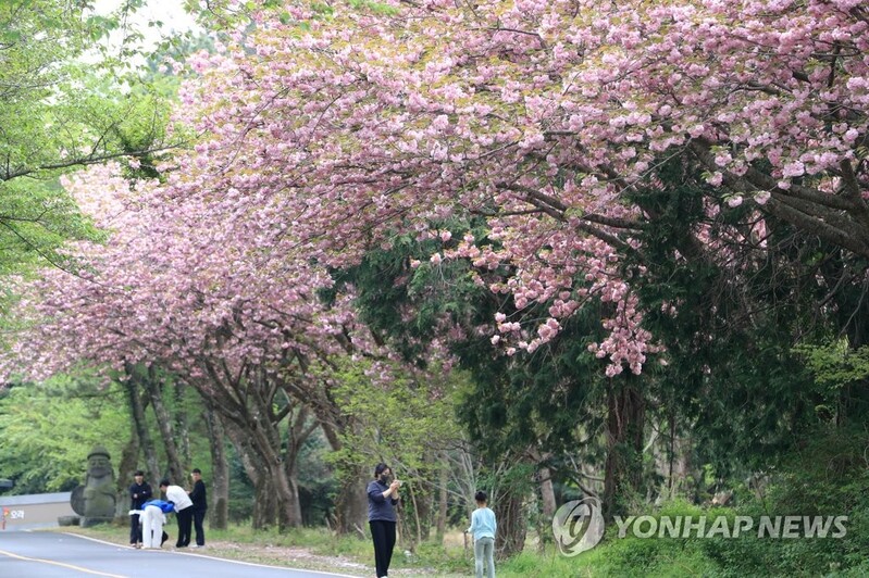 일상 회복을 즐기자…전국 관광지 주말 나들이 인파 '북적'