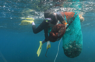 [Hallyupedia] Haenyeo