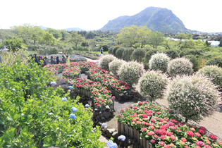 [K-Geography] Walking in spring garden