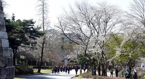 김제 모악산축제, 6월 지방선거 이후로 연기