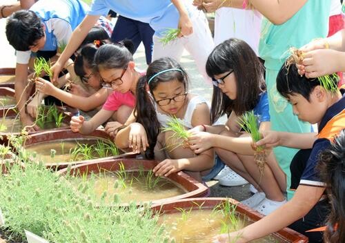 전남 농촌관광 활기…거리두기 해제로 체험·휴양 예약 증가