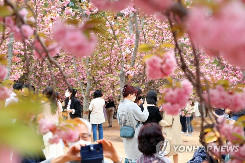 거리두기 해제에 경주 동궁·월지 방문객 31% 증가