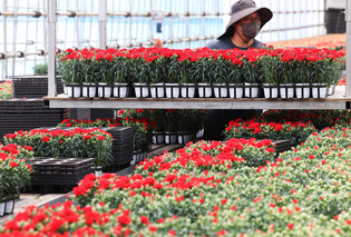 [K-Geography] Preparations for Parents' Day