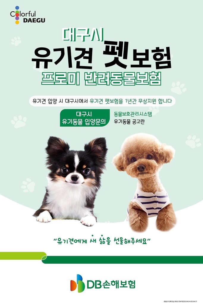 DB손해보험, 대구시 유기견 펫보험 지원사업 시행