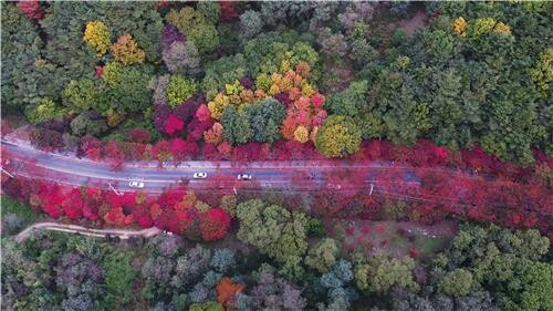 코로나19 딛고 일상 회복으로…대구 축제·행사 재개