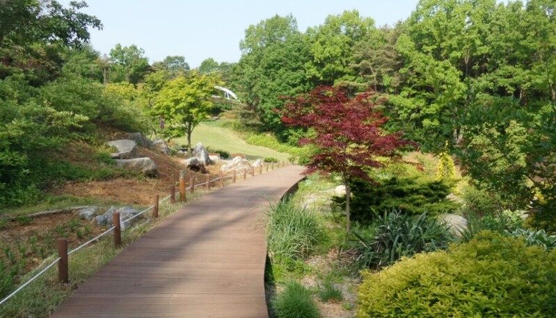 동해시 '천곡 도심 빛 테마파크' 조성…도심 관광 기폭제
