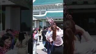 A peek inside Cheong Wa Dae