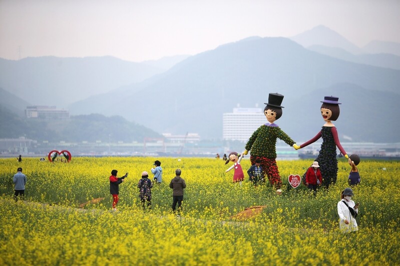 마산해양신도시 시민 품으로…유채꽃 개화 시기 산책로 개방