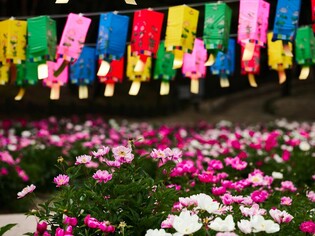 [K-Geography] Millennium kingdom drowned in sea of ​​peonies