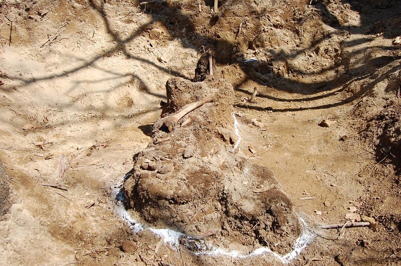 S. Korea identifies remains of another Korean War soldier