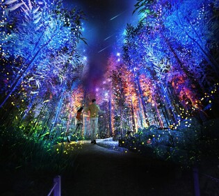 Jinyangho Fantasy Forest to open in Jinju city