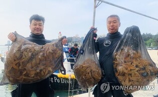Divers act up as Gangneung Marine Park is occupied by 'Pirate of the Sea'
