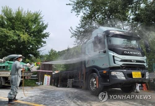 (LEAD) S. Korea culls more than 1,000 pigs to prevent spread of swine fever