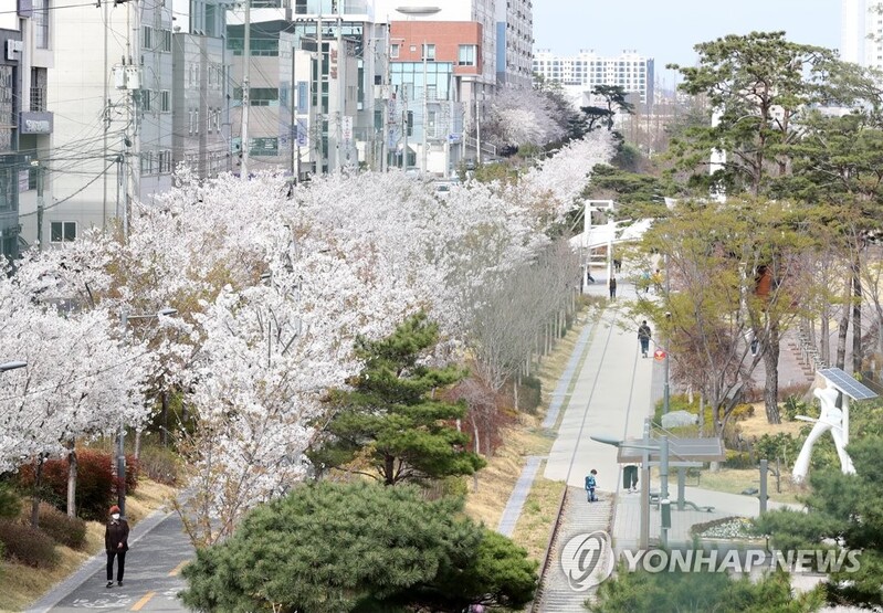 하루 평균 3만명 이용…포항 녹지축 중심 철길숲 인기