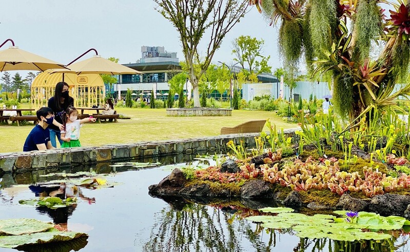 세종수목원서 생물다양성 증진·보전 '수생식물 특별전'