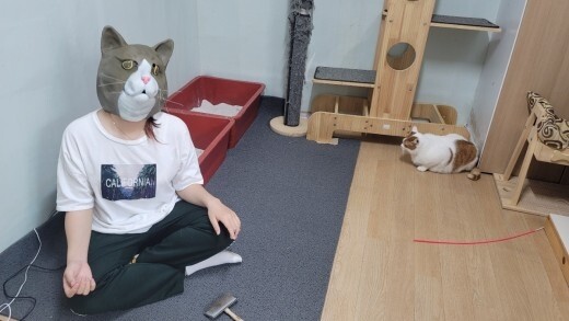 늘어나는 학대에 동물 돌보기 나선 청소년들