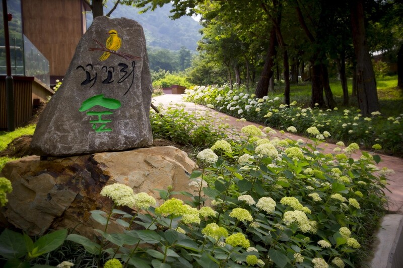 복합산림시설 월아산 숲속의 진주서 '제1회 수국정원 꽃 축제'