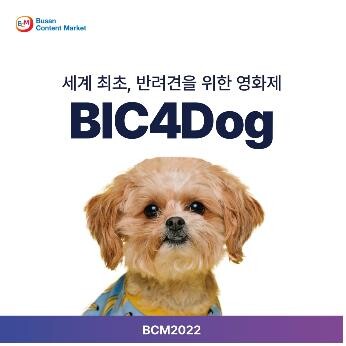 부산콘텐츠마켓서 반려견을 위한 영화축제 열려