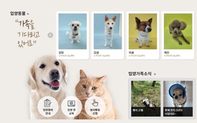 반려동물 정보 한눈에…경기도, 온라인 플랫폼 개설