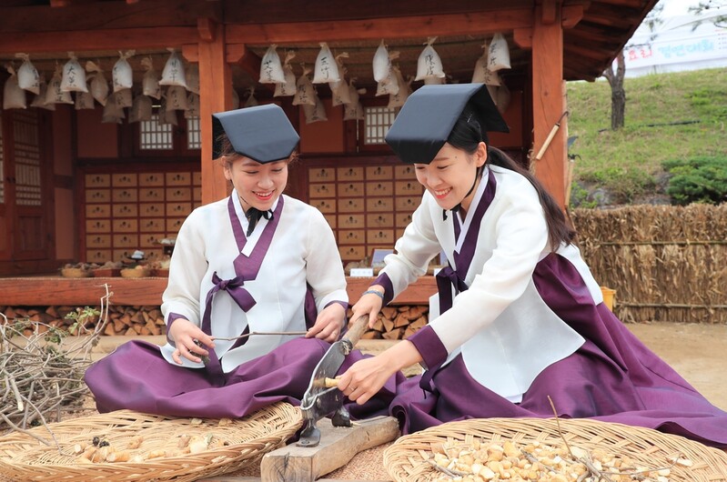 산청약초축제, 국제이벤트로 키운다…'케이힐링사업' 선정