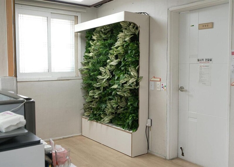 벽에 산소가 가득…포스코, 복지시설 벽면 식물로 채워