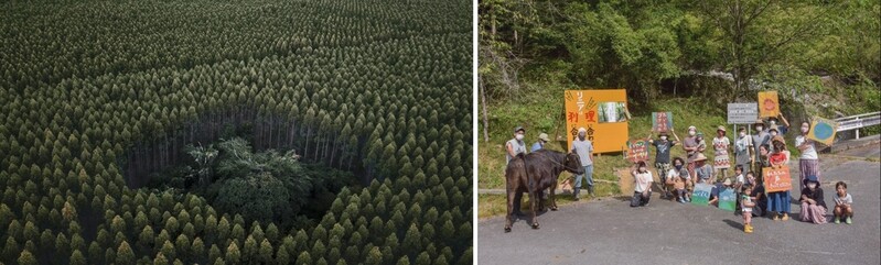 제19회 서울국제환경영화제 대상에 '유칼립투스' 등 2편 선정