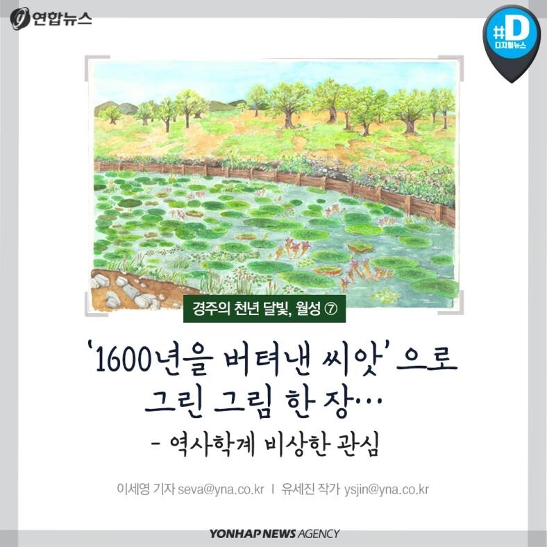 [카드뉴스] '1천600년을 버텨낸 씨앗'으로 그린 그림 한 장