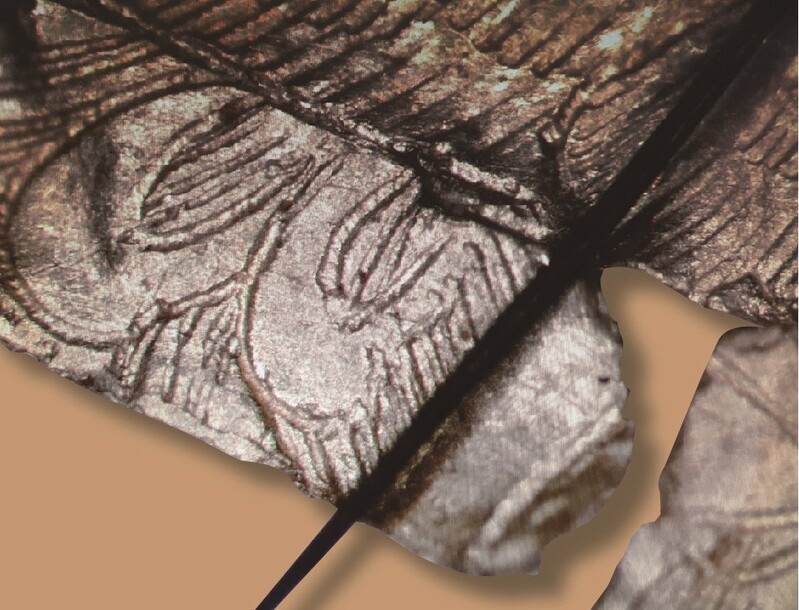 어떻게 왜 만들었을까…경이로운 신라 금박유물 '미스터리'(종합)