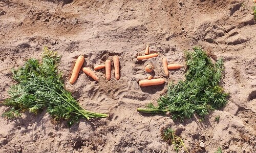 제주의 마을을 탐하다…자연과 사람이 빛나는 '세화'