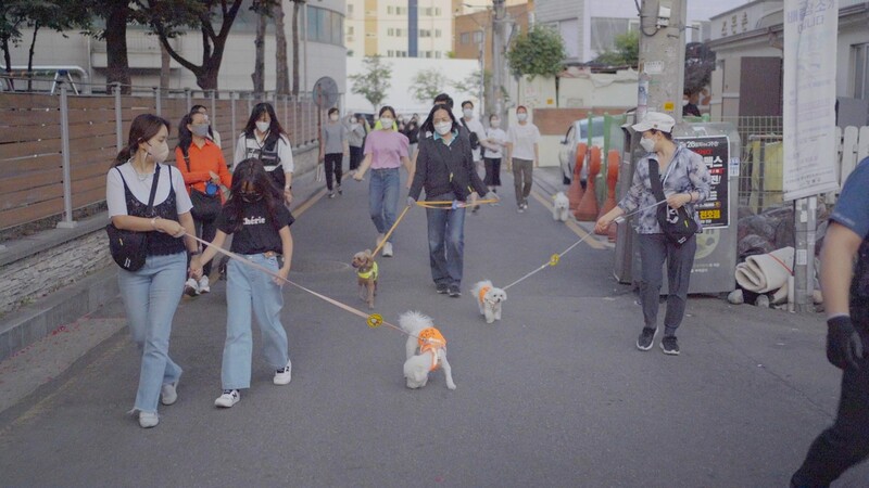 동네 지키는 '서울 반려견 순찰대' 하반기 5개 자치구로 확대