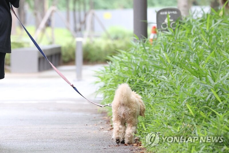 내일부터 온라인 판매되는 반려동물 사료 성분·표시 점검
