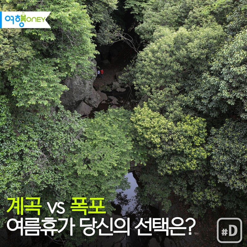 [여행honey] 계곡 vs 폭포…여름휴가 당신의 선택은?