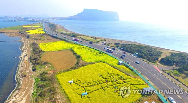 '성산일출봉 보고, 조개도 잡고'…제1회 성산 조개바당 축제