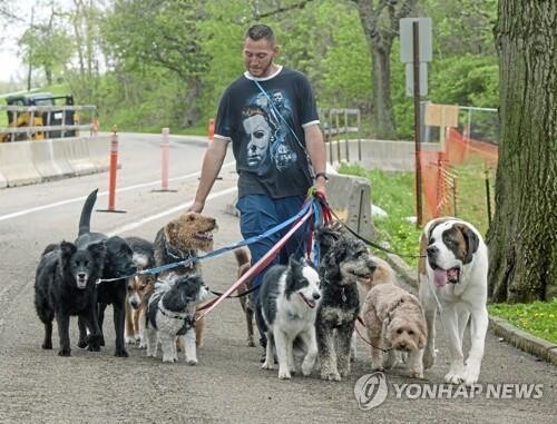 반려견 많은 곳이 범죄율도 낮다…산책 보호자 '거리의 눈' 역할