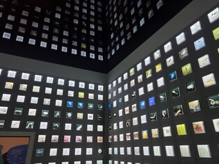 '2022 Boryeong Sea Mud Exhibition' to be held next week