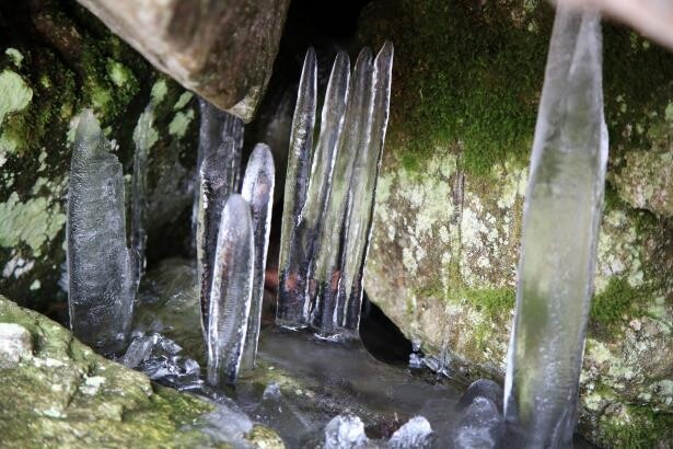 얼음골엔 한여름 냉기가 가득…밀양 피서명소 6곳