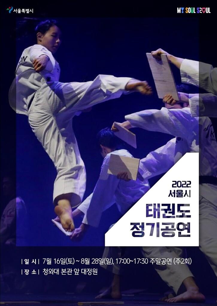 서울시, 태권도 관광자원으로 키운다…청와대서 정기공연