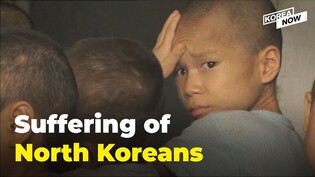 Why has humanitarian aid to North Korea collapsed to almost nothing under Kim Jong-un?