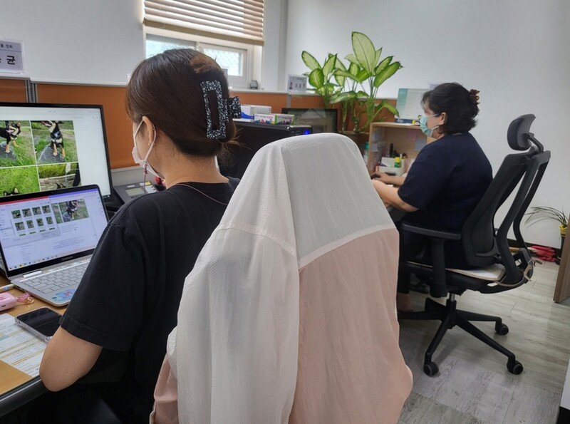 고양시 '희망-내일 공공일자리' 유기 동물 파수꾼으로 활약