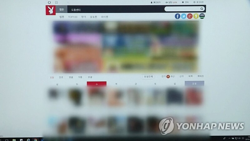 "정부, 웹툰 불법유통 감시 나서야…국제공조도 강화 필요"