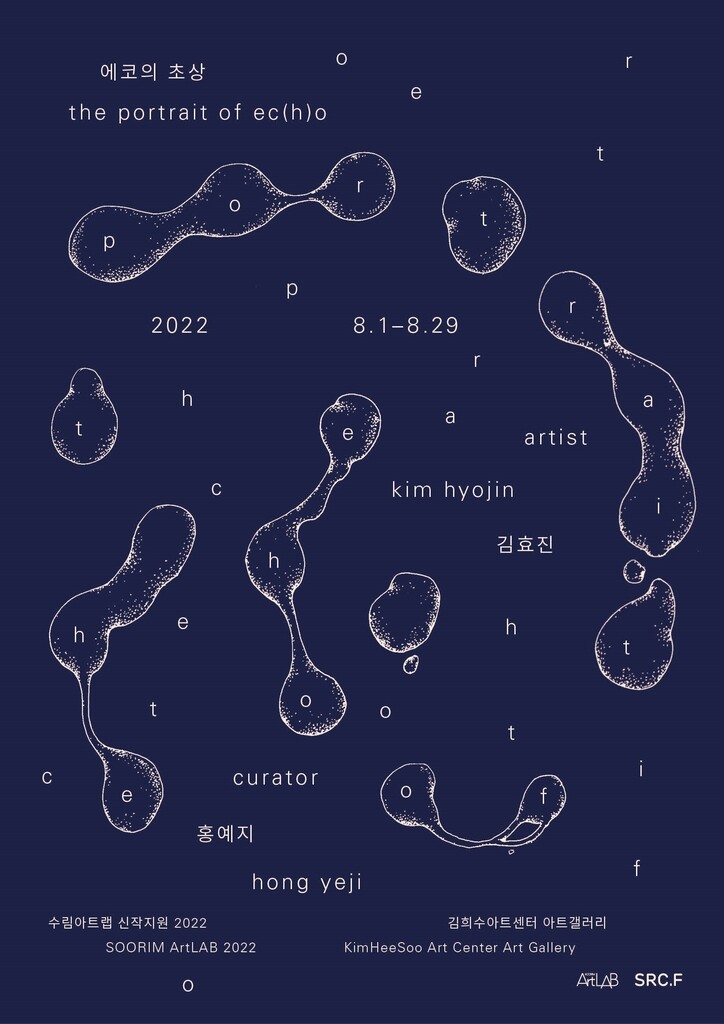 김효진 개인전 '에코의 초상' 내달 열려