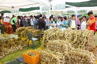 16th Danyang Garlic Festival to be held from July 22