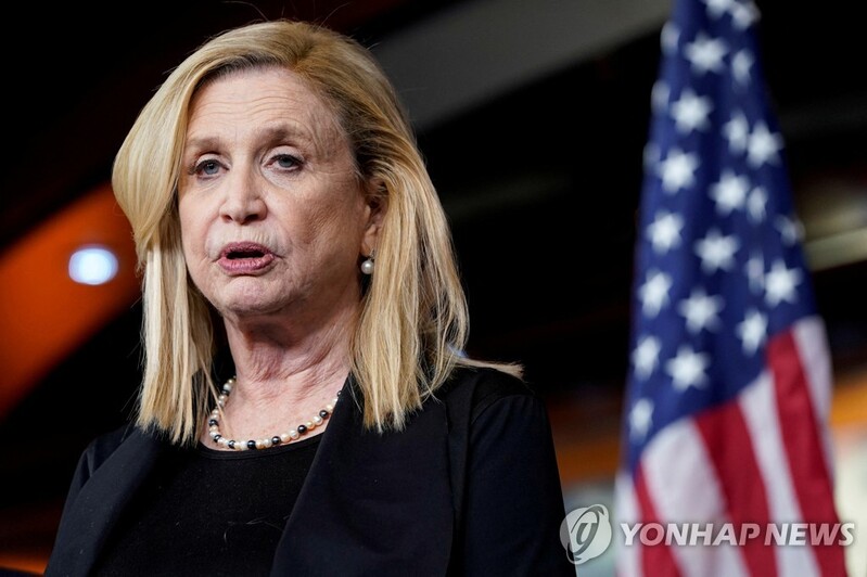 "한국처럼 미국도 김치의 날 기념하자"…美 하원에 결의안 제출