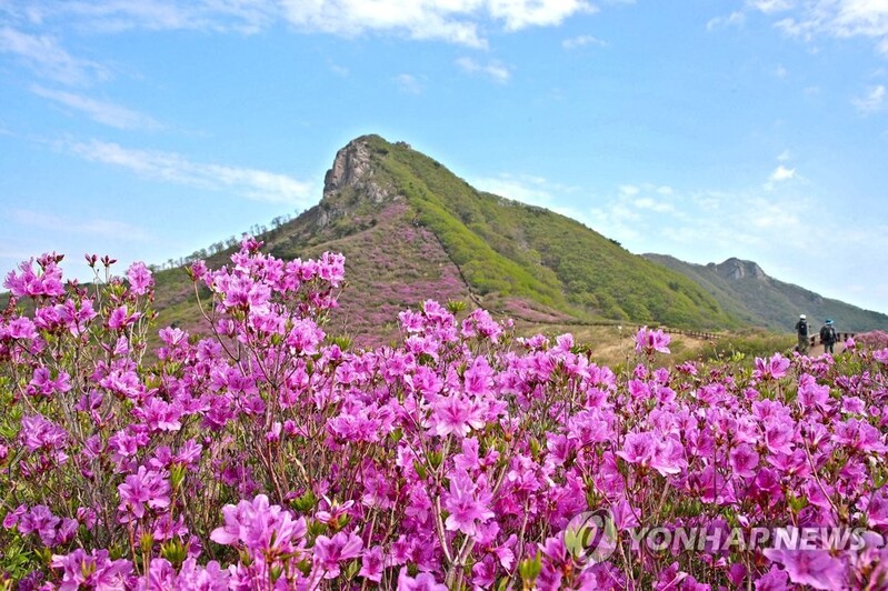 산청 황매산에 철쭉·별·바람 머무는 자연휴양림 들어선다