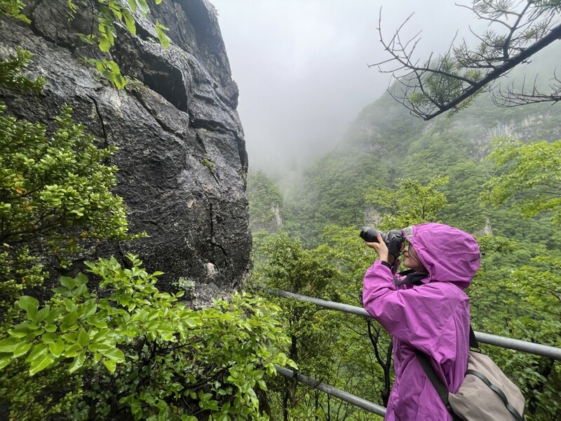 '팽나무 박사' 허태임 "우영우 인기 반갑지만 식물 도구화 안돼"