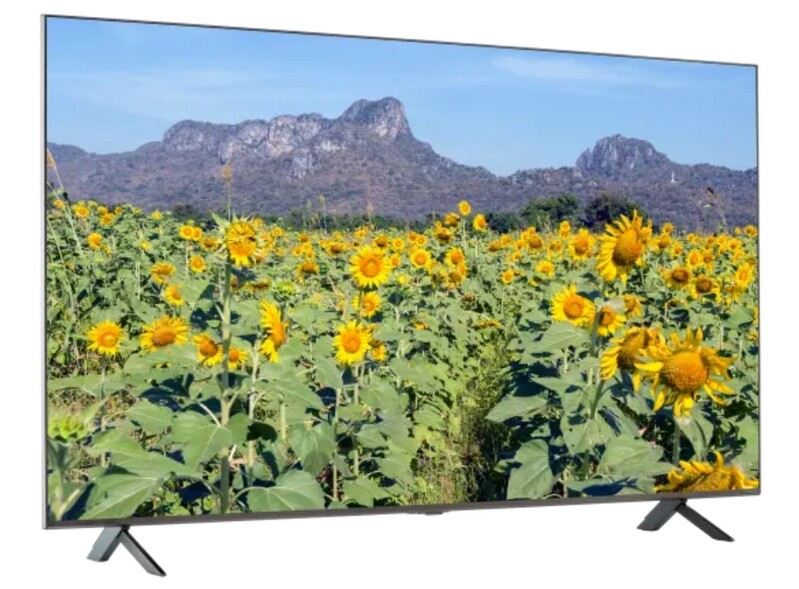 美 컨슈머리포트 선정 '가성비 TV'에 LG 나노셀·삼성 QLED